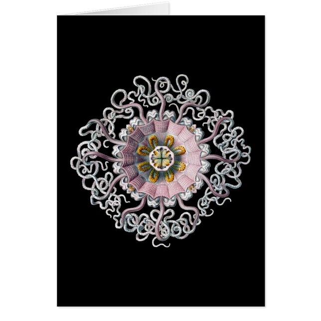 Vintage Ernst Haeckel Hälsningskort (Framsidan)