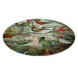 Vintage Ernst Haeckel Hummingbird