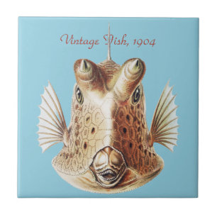 Vintage Ernst Haeckel nautisk konst av guldfisk me Kakelplatta