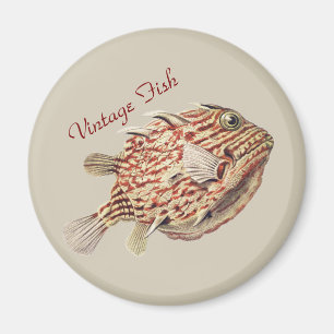 Vintage Ernst Haeckel nautisk röd koffertfisk kons Magnet
