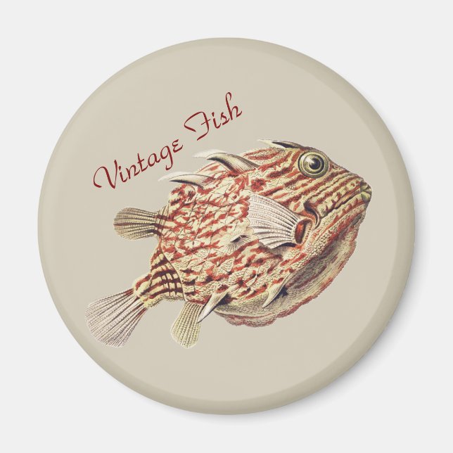 Vintage Ernst Haeckel nautisk röd koffertfisk kons Magnet (Framsidan)