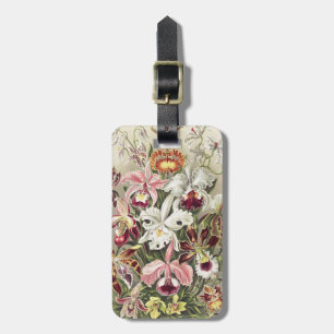 Vintage Ernst Haeckel Orkidé Botaniskt tryck Bagagebricka