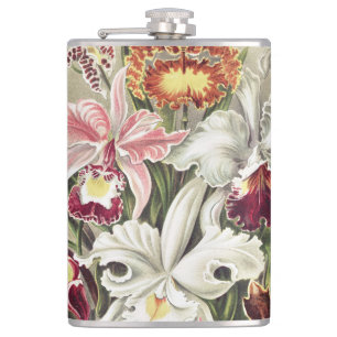 Vintage Ernst Haeckel Orkidé Botaniskt Tryck Fickplunta