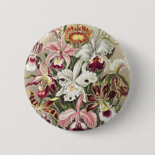 Vintage Ernst Haeckel Orkidé Botaniskt Tryck Knapp