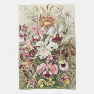 Vintage Ernst Haeckel Orkidé Botaniskt Tryck Kökshandduk