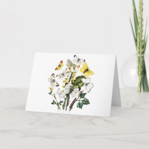 Vintage European Butterflies Kort