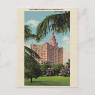 Vintage Everglades Hotel Miami Florida Postcard Vykort