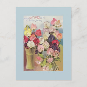 Vintage Excelsior Collection of Assorted Sweetpeas Vykort