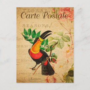 Vintage Exotic Tropical Toucan Bird Blommigt Frans Vykort