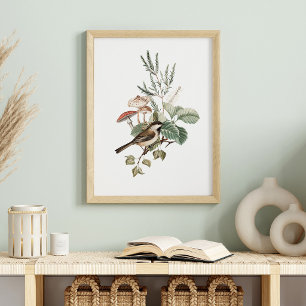 Vintage Fågel och Svamp Botanisk Poster