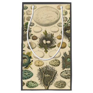 Vintage Fågelägg med Nest Art Painting Eggs