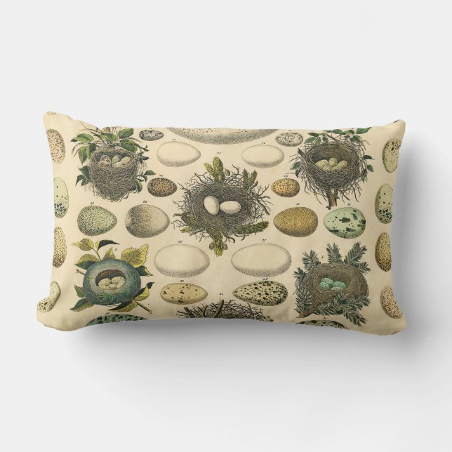 Vintage Fågelägg med Nest Art Painting Eggs Lumbarkudde (Framsida)