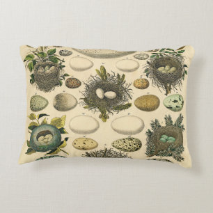 Vintage Fågelägg med Nest Art Painting Eggs Prydnadskudde