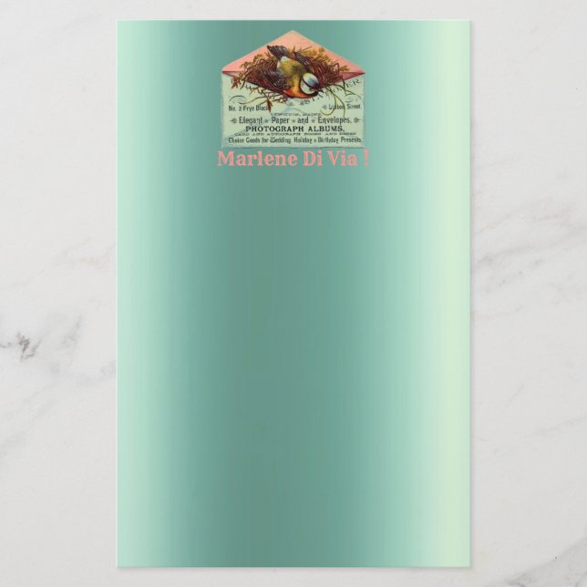 Vintage fågelbo rosa turkos rosa brevpapper (Framsida)