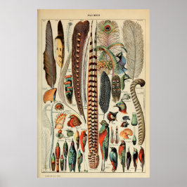 Vintage Fågelludd Skriv ut plommon för väggdekorat Poster