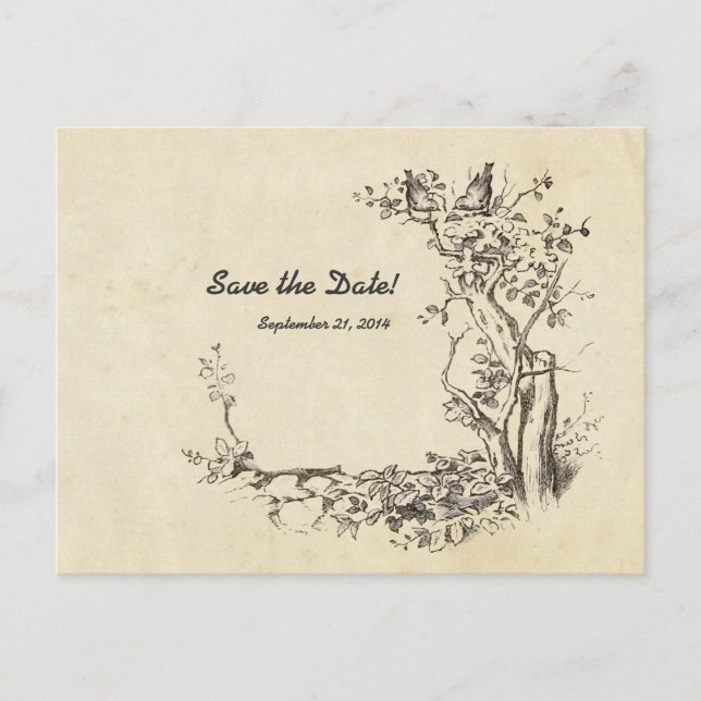 Vintage Fågelskräm Spara datum Meddelande Vykort (Framsida)