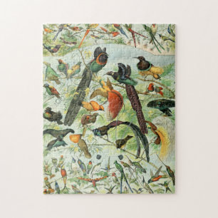 Vintage Fåglar Gamla Bok Illustration Art Animals Pussel
