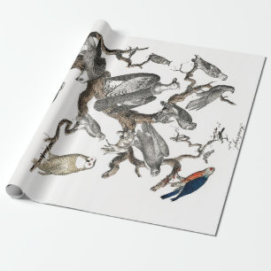 Vintage Fåglar Gamla Illustration Art Animals Presentpapper