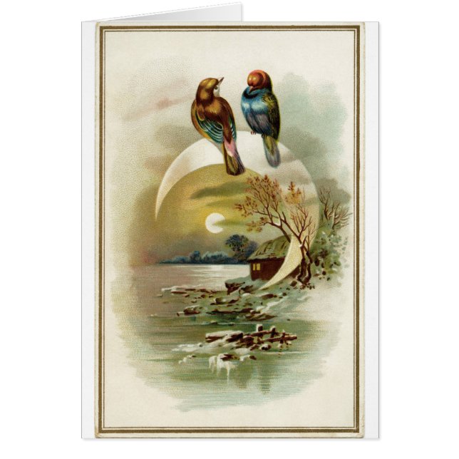 Vintage - fåglar i en wintry plats, hälsningskort (Framsidan)