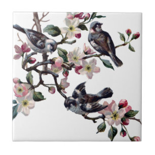 Vintage Fåglar Kakelplatta