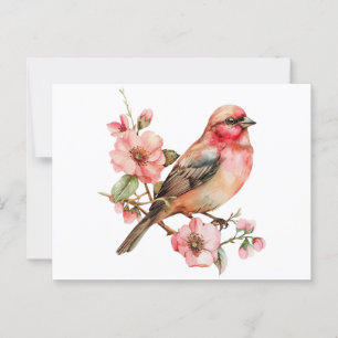 Vintage fåglar och blomma vykort