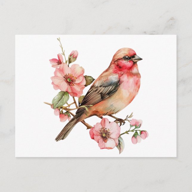 Vintage fåglar och blomma vykort (Framsida)