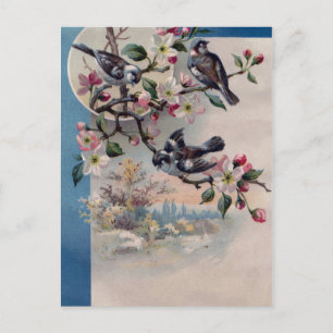 Vintage Fåglar och Blommar Vykort