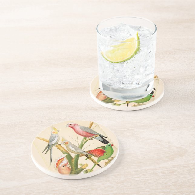 Vintage Fåglar - parakit, tropiska fåglar Underlägg (Sidan)