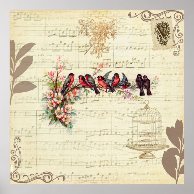 Vintage Fåglar Poster (Framsidan)