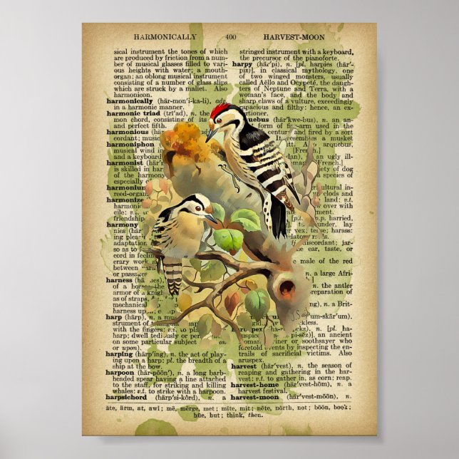 Vintage Fåglar Poster (Framsidan)