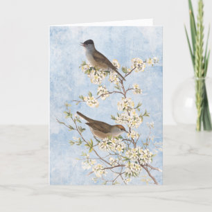 Vintage Fåglar vid Blommar Gren Blå himmel Blank Tack Kort
