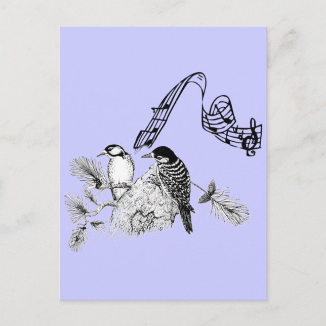 Vintage Fåglar Vykort (Framsida)