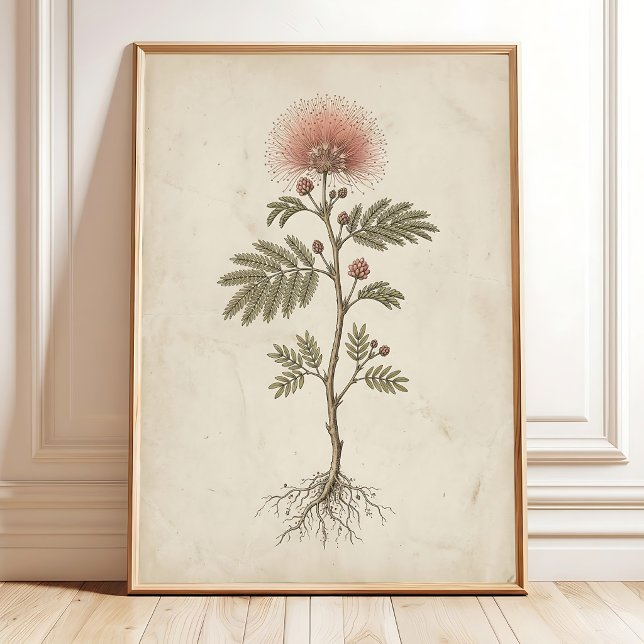 Vintage Fairy Duster Blomsterkonst Antik Bondgård Poster (Skapare uppladdad)
