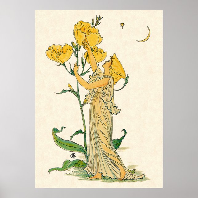 Vintage Fairy Tale, kvällsmålet Primrose, Walter C Poster (Framsidan)