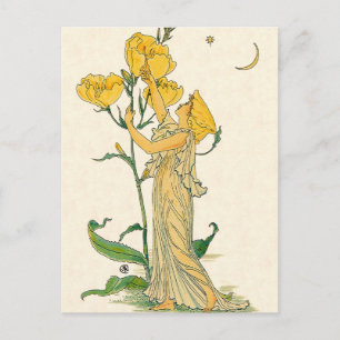 Vintage Fairy Tale, kvällsmålet Primrose, Walter C Vykort