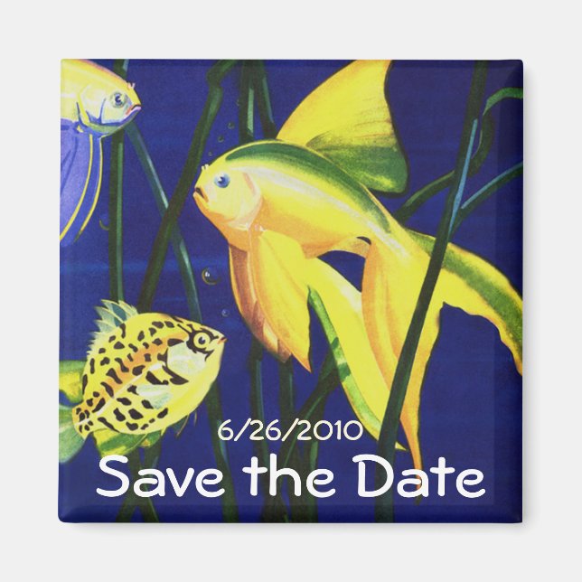 Vintage Fancy Guld fisk Akvarium, Spara datum! Magnet (Framsidan)