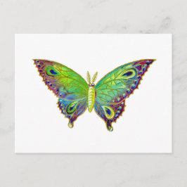 Vintage Färgrik Moth Vykort