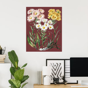 Vintage Färgrik Vildblomma Botanisk Blommig Konst Poster