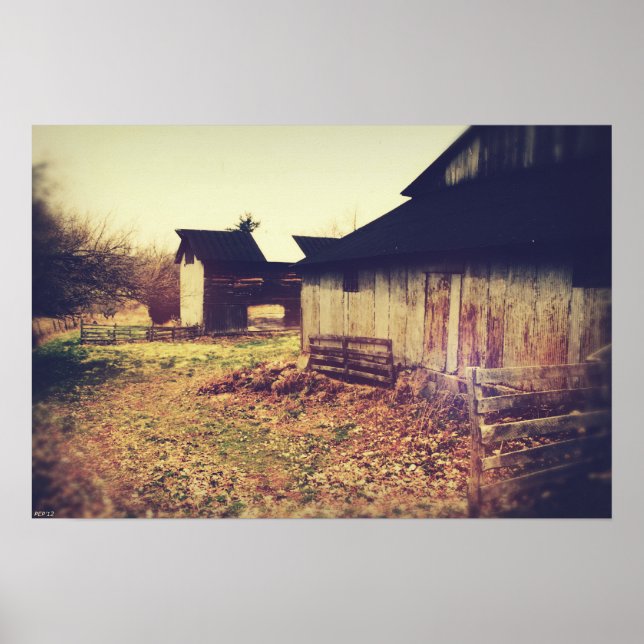 Vintage Farm Barns Poster (Framsidan)