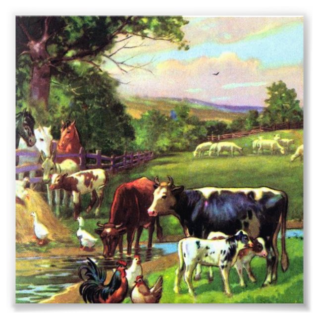 Vintage Farm Fototryck (Framsidan)