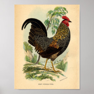 Vintage Farming Victorian Print Tupp Poster