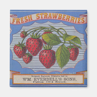 Vintage Färska jordgubbar Magnet
