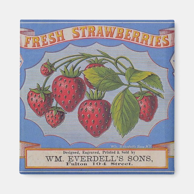 Vintage Färska jordgubbar Magnet (Framsidan)