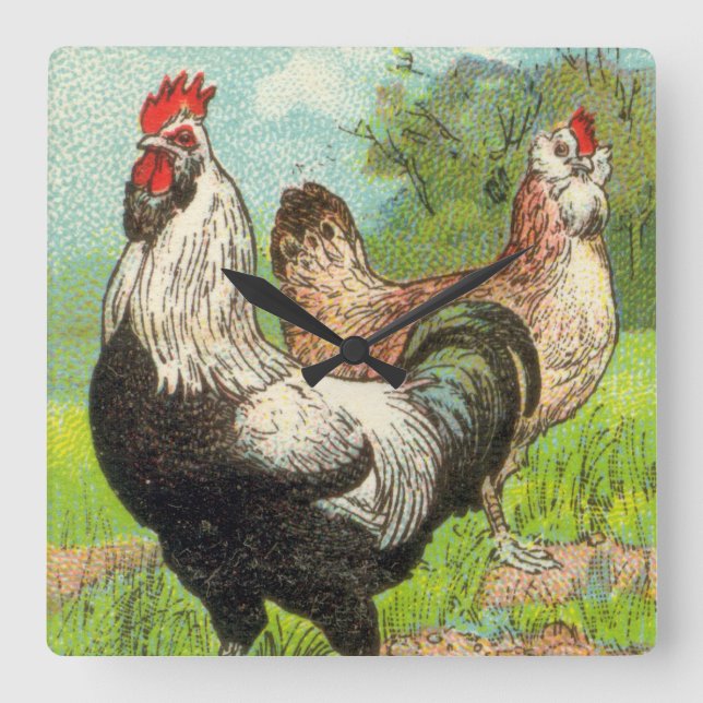 Vintage Faverolles Chicken Fyrkantig Klocka (Framsida)