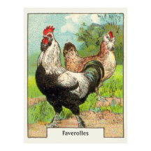 Vintage Faverolles Chicken