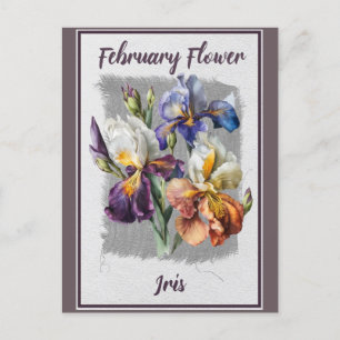 Vintage februari blomma iris blomster vykort