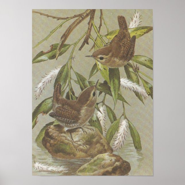 Vintage-fel Poster (Framsidan)