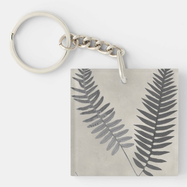 Vintage Ferns (Framsidan)