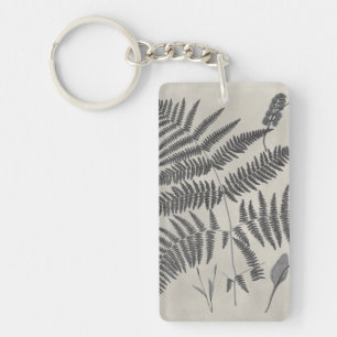 Vintage Ferns