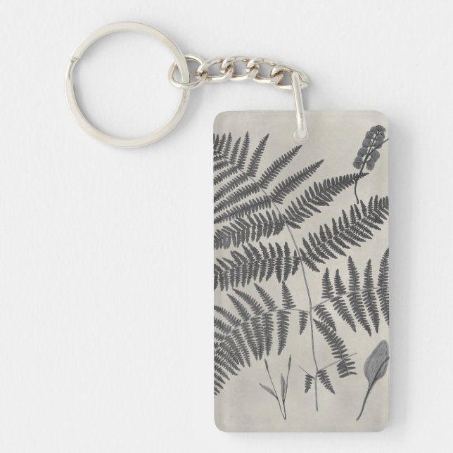 Vintage Ferns (Framsidan)